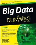 Big data for dummies