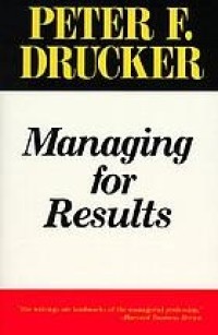 Image of Managing for results: economic tasks and risk-taking decisions